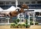 The British Showjumping Winter Classic Season has ARRIVED!